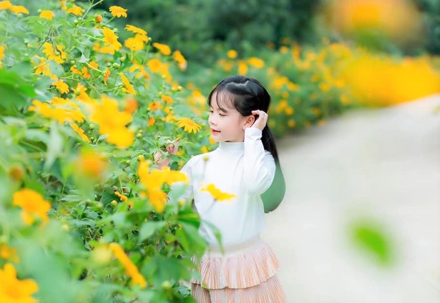 The famous flower Dalat flower-silk in Trang An captivates visitors - 7