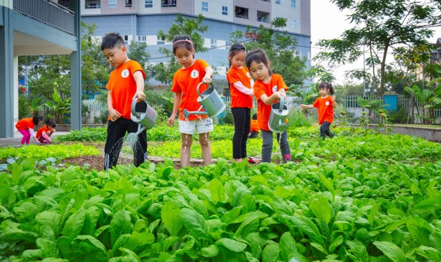Ngắm ngôi trường mầm non sở hữu diện tích khủng tại Long Biên - 5 Ngắm ngôi trường mầm non sở hữu diện tích khủng tại Long Biên - 5