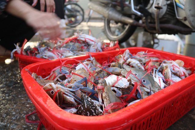 Hối hả nơi cảng Cửa Sót tháng cuối năm - 11 Hối hả nơi cảng Cửa Sót tháng cuối năm - 11