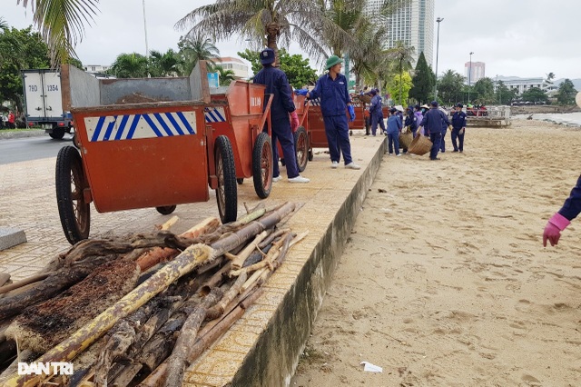 Bãi biển Nha Trang ngập ngụa rác sau mưa lũ - 6 Bãi biển Nha Trang ngập ngụa rác sau mưa lũ - 6