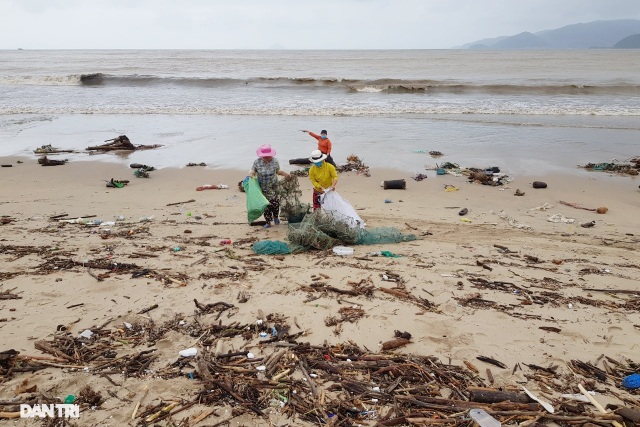 Bãi biển Nha Trang ngập ngụa rác sau mưa lũ - 3 Bãi biển Nha Trang ngập ngụa rác sau mưa lũ - 3