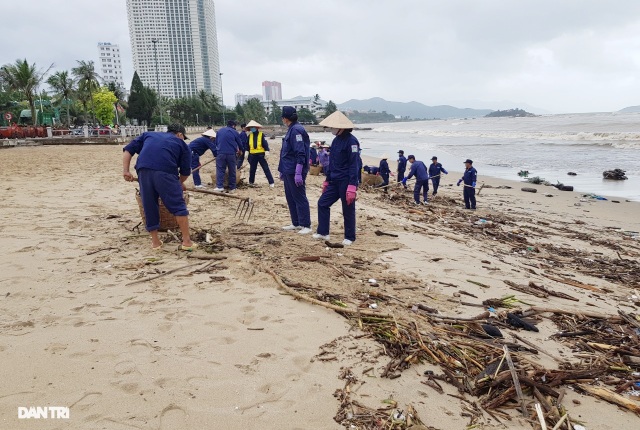 Bãi biển Nha Trang ngập ngụa rác sau mưa lũ - 5 Bãi biển Nha Trang ngập ngụa rác sau mưa lũ - 5