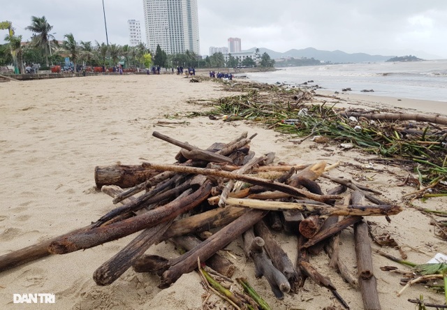 Bãi biển Nha Trang ngập ngụa rác sau mưa lũ - 2 Bãi biển Nha Trang ngập ngụa rác sau mưa lũ - 2