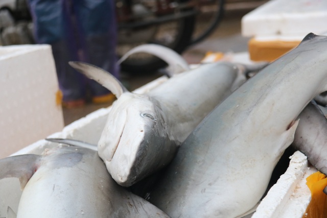 Hối hả nơi cảng Cửa Sót tháng cuối năm - 13 Hối hả nơi cảng Cửa Sót tháng cuối năm - 13