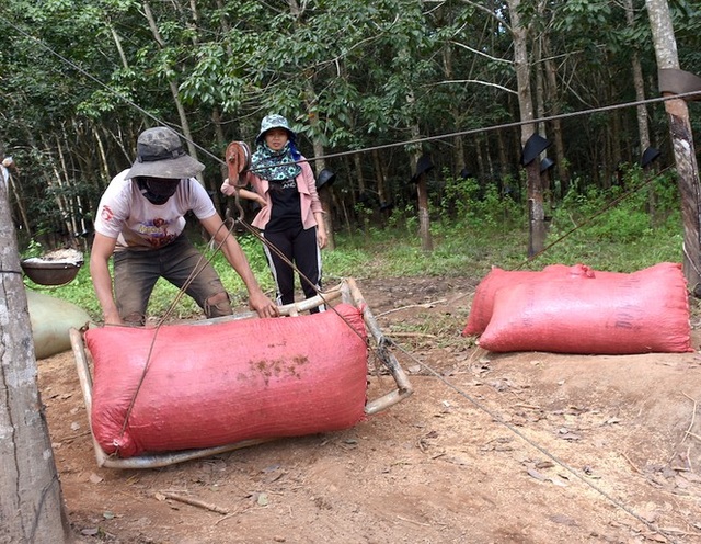 Hãi hùng cảnh người dân vùng cao treo mình qua dòng sông Pô Cô - 4