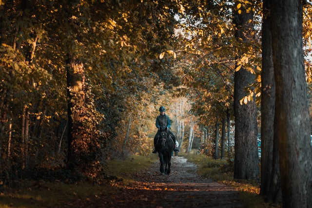 Choáng ngợp cảnh sắc đẹp như phim mùa cây thay lá ở Pháp - 5