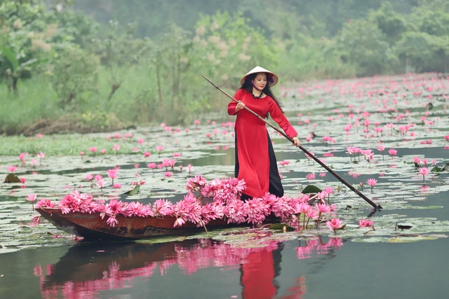 Thanh Thanh Hiền đã ly hôn con trai Chế Linh sau 7 năm gắn bó - 3