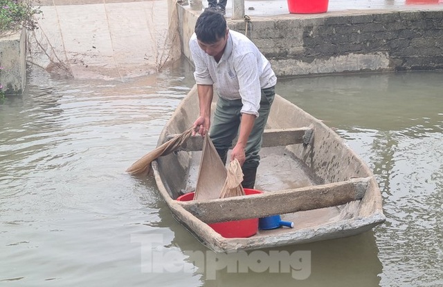 Nông dân Hải Phòng thấp thỏm lo rươi mất mùa - 10 Nông dân Hải Phòng thấp thỏm lo rươi mất mùa - 10