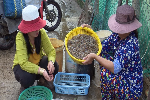 Tôm đất xuất hiện dày đặc sau lũ, người dân kiếm hơn nửa triệu đồng mỗi đêm - 3 Tôm đất xuất hiện dày đặc sau lũ, người dân kiếm hơn nửa triệu đồng mỗi đêm - 3