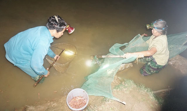 Mỗi ngày đút túi gần chục triệu đồng nhờ vớt lộc đùn lên từ đất - 6 Mỗi ngày đút túi gần chục triệu đồng nhờ vớt lộc đùn lên từ đất - 6