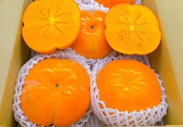 Hồng Nhật khổng lồ thơm mùi sữa, 1 triệu đồng/quả vẫn cháy hàng - 1 Hồng Nhật khổng lồ thơm mùi sữa, 1 triệu đồng/quả vẫn cháy hàng - 1