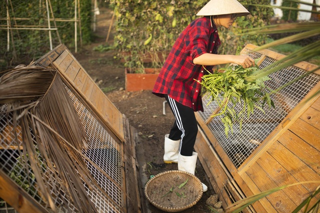 Nữ nhiếp ảnh Sài Gòn bỏ phố về quê, tự làm khu vườn 1ha thơ mộng - 5 Nữ nhiếp ảnh Sài Gòn bỏ phố về quê, tự làm khu vườn 1ha thơ mộng - 5