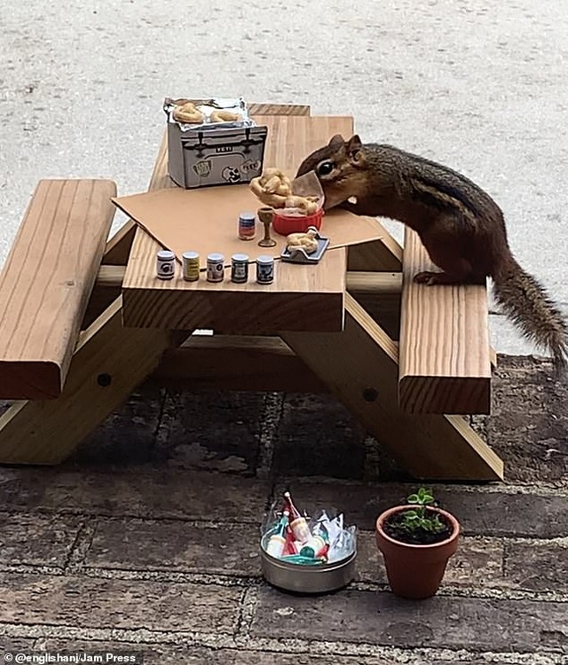 Quán cà phê mini siêu xinh, mở ra chỉ để đón... một vị khách - 4 Quán cà phê mini siêu xinh, mở ra chỉ để đón... một vị khách - 4