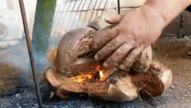 Chuột đồng béo núc để nguyên con không bỏ đầu đuôi, nướng trong ống tre Chuột đồng béo núc để nguyên con không bỏ đầu đuôi, nướng trong ống tre