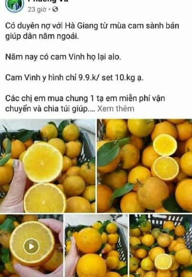 Hoa quả rẻ như cho, táo 5.000 đồng, bưởi 2.000 đồng: Đâu là nguồn gốc thật sự? - 4 Hoa quả rẻ như cho, táo 5.000 đồng, bưởi 2.000 đồng: Đâu là nguồn gốc thật sự? - 4