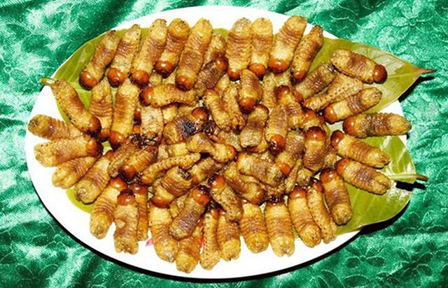 Đào con nhìn thấy ghê, nông dân Việt kiếm tiền triệu mỗi ngày - 12 Đào con nhìn thấy ghê, nông dân Việt kiếm tiền triệu mỗi ngày - 12