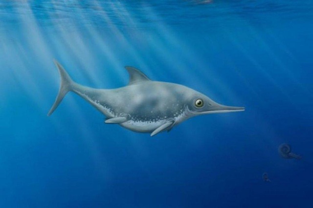 Hóa thạch rồng biển thời tiền sử được khai quật ở Anh - 1