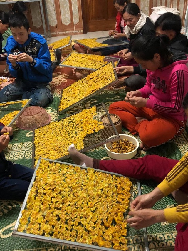 Người dân hái tiền từ loại cây mọc đầy trong rừng - 4 Người dân hái tiền từ loại cây mọc đầy trong rừng - 4