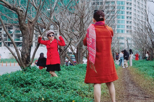 Race to check-in rows of beautiful deciduous trees like winter in Korean movies - 5