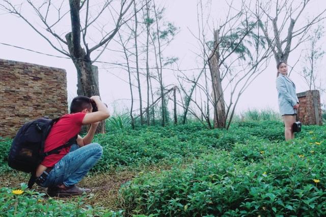 Race to check-in rows of beautiful deciduous trees like winter in Korean movies - 6