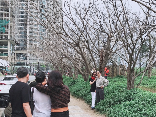 Đua nhau check-in hàng cây rụng lá đẹp như mùa đông trong phim Hàn - 10