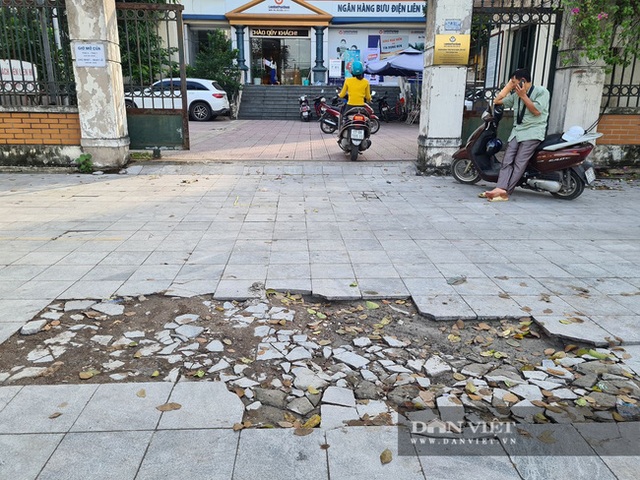 Từ trái tim lông lá đến lát đá vỉa hè: Tốn tiền mà đoản thọ - 1 Từ trái tim lông lá đến lát đá vỉa hè: Tốn tiền mà đoản thọ - 1