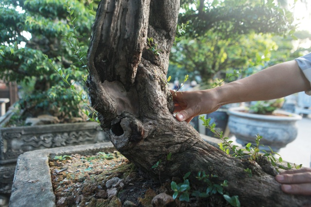 Chiêm ngưỡng hòn ngọc Viễn Đông giá tiền tỷ độc nhất vô nhị ở Việt Nam - 8 Chiêm ngưỡng hòn ngọc Viễn Đông giá tiền tỷ độc nhất vô nhị ở Việt Nam - 8