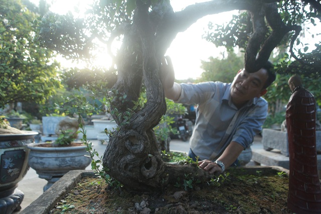 Chiêm ngưỡng hòn ngọc Viễn Đông giá tiền tỷ độc nhất vô nhị ở Việt Nam - 2 Chiêm ngưỡng hòn ngọc Viễn Đông giá tiền tỷ độc nhất vô nhị ở Việt Nam - 2