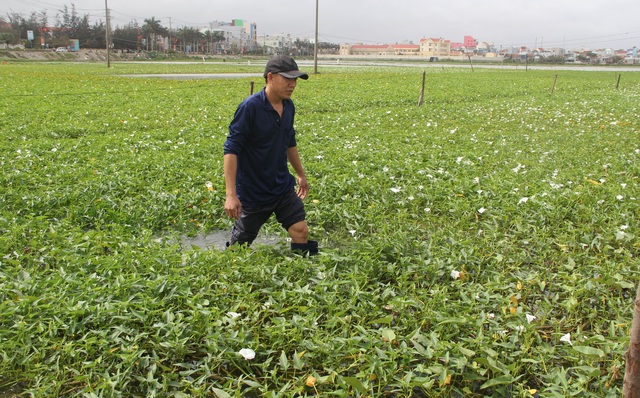 Vụ liên công trình gây ngập lụt: Người dân mỏi mòn chờ đợi tiền hỗ trợ - 2 Vụ liên công trình gây ngập lụt: Người dân mỏi mòn chờ đợi tiền hỗ trợ - 2