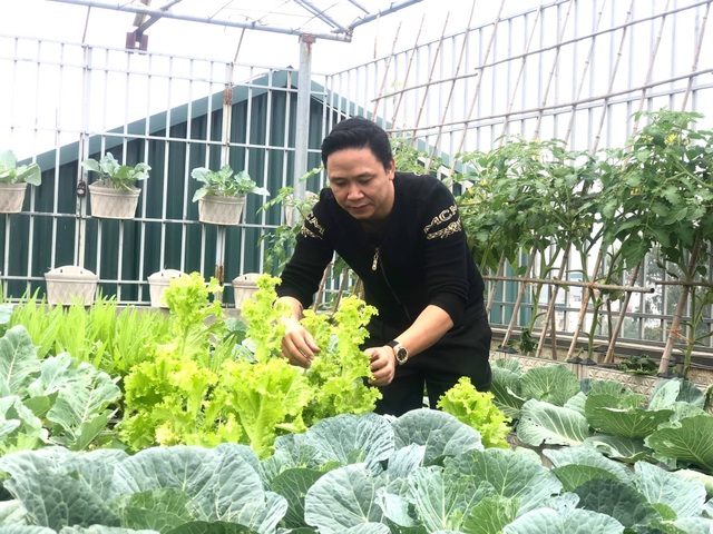 Ông bố Hà Nội chi 70 triệu đồng trồng rau, quả sai lúc lỉu trên sân thượng - 4