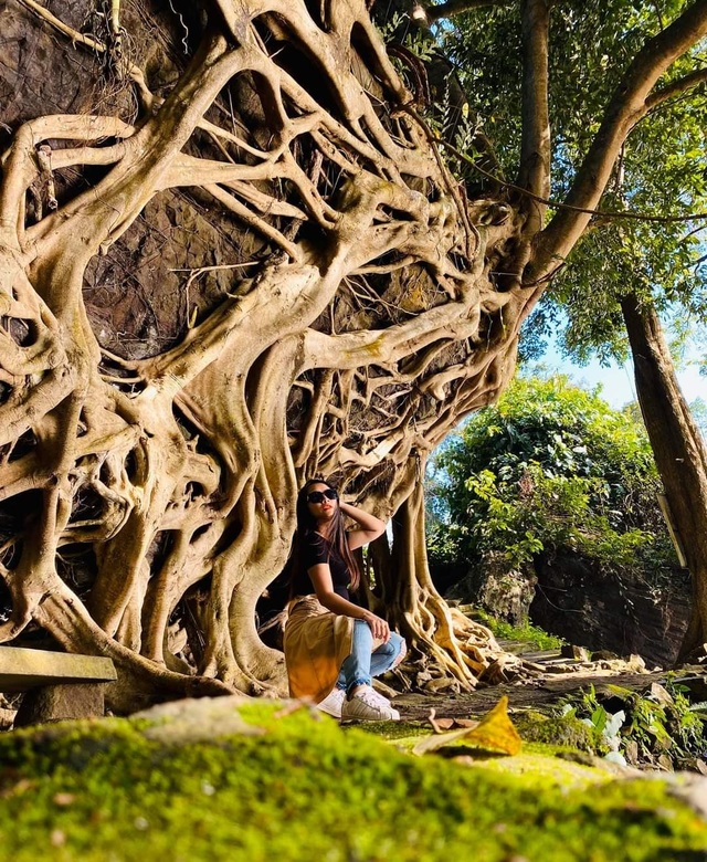 The old tree has a huge root system that attracts tourists to take pictures in Dak Lak - 4