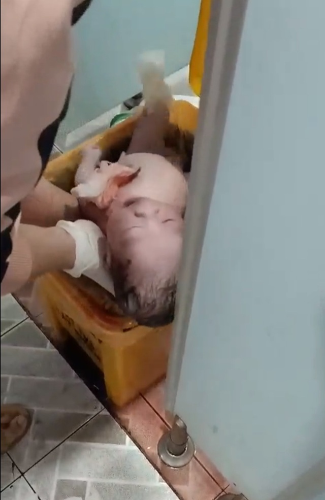 Nghi vấn người mẹ trẻ ném con vừa chào đời vào thùng rác - 1 Nghi vấn người mẹ trẻ ném con vừa chào đời vào thùng rác - 1