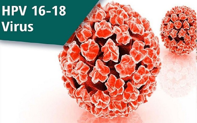 HPV cũng gây ung thư ở nam giới - 1