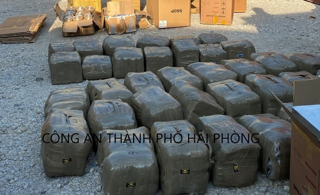 Hơn 600 kg chất ma túy ẩn mình trong container gửi về từ Singapore - 1