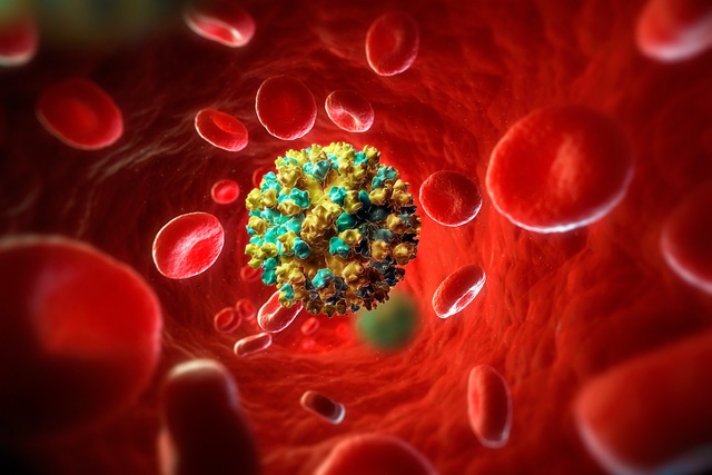 Loại virus âm thầm gây xơ gan, chưa có vắc xin phòng ngừa - 1 Loại virus âm thầm gây xơ gan, chưa có vắc xin phòng ngừa - 1