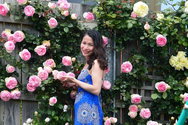 Khu vườn gần 50 loài hoa hồng khoe sắc quanh năm của mẹ Việt ở Úc - 12