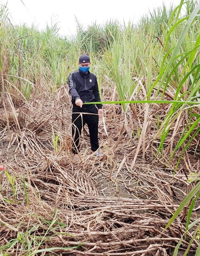 Dân dựng lều ngày đêm canh nhà máy nghi xả thải gây ô nhiễm - 2