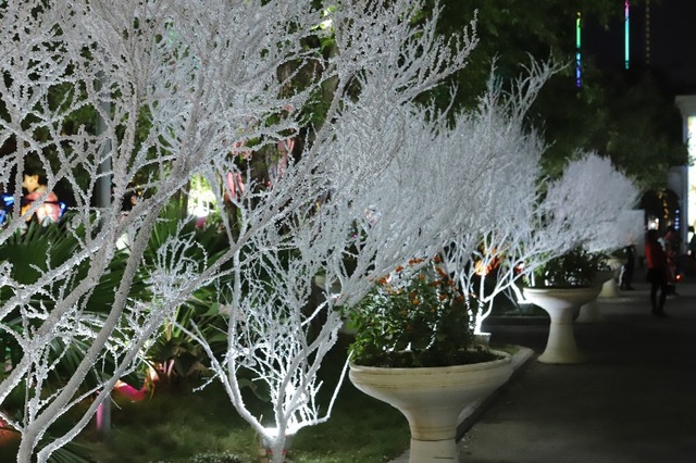 Người dân trên cả nước nô nức đón lễ Giáng sinh - 3 Người dân trên cả nước nô nức đón lễ Giáng sinh - 3