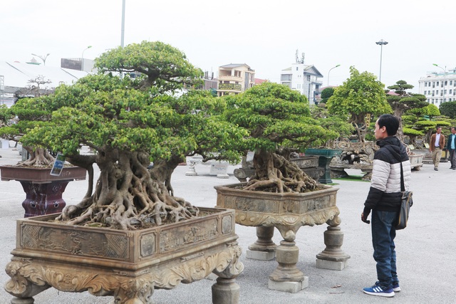 Chiêm ngưỡng bộ sanh cổ hơn 10 tỷ đồng, đại gia hỏi mua nhưng không bán - 11 Chiêm ngưỡng bộ sanh cổ hơn 10 tỷ đồng, đại gia hỏi mua nhưng không bán - 11