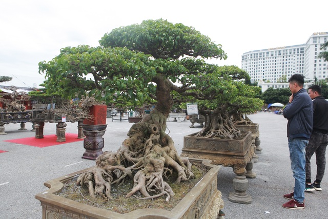 Chiêm ngưỡng bộ sanh cổ hơn 10 tỷ đồng, đại gia hỏi mua nhưng không bán - 9 Chiêm ngưỡng bộ sanh cổ hơn 10 tỷ đồng, đại gia hỏi mua nhưng không bán - 9