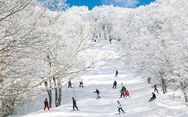 Tắm onsen tại khu trượt tuyết đẳng cấp thế giới - 4