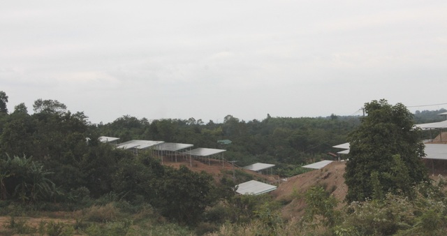 Đắk Lắk:  Báo động tình trạng trá hình dự án nông nghiệp làm điện mặt trời - 2