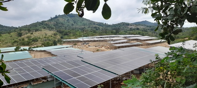 Đắk Lắk:  Báo động tình trạng trá hình dự án nông nghiệp làm điện mặt trời - 5