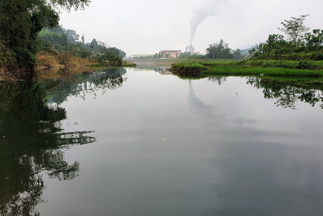 Cả khúc sông đen như mực nghi do nhà máy chế biến gỗ xả thải - 1 Cả khúc sông đen như mực nghi do nhà máy chế biến gỗ xả thải - 1