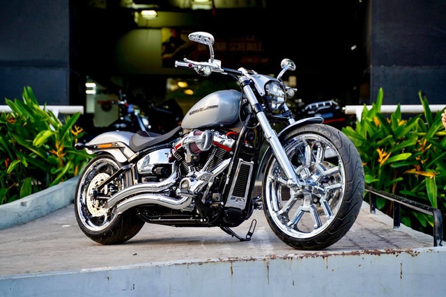 Harley-Davidson hàng độc của Cường Đô la, mức giá cho thấy độ chịu chơi - 2