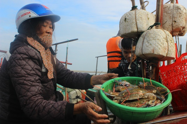 Hà Tĩnh: Mùa cá cháo bãi ngang những ngày cuối năm 2020 - 11 Hà Tĩnh: Mùa cá cháo bãi ngang những ngày cuối năm 2020 - 11