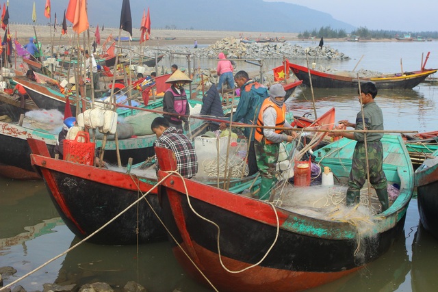 Hà Tĩnh: Mùa cá cháo bãi ngang những ngày cuối năm 2020 - 1 Hà Tĩnh: Mùa cá cháo bãi ngang những ngày cuối năm 2020 - 1