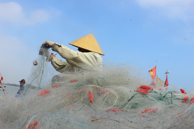 Hà Tĩnh: Mùa cá cháo bãi ngang những ngày cuối năm 2020 - 16 Hà Tĩnh: Mùa cá cháo bãi ngang những ngày cuối năm 2020 - 16