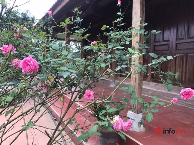 Người Hà Nội đua về các huyện vùng ven mua đất làm nhà vườn - 2 Người Hà Nội đua về các huyện vùng ven mua đất làm nhà vườn - 2
