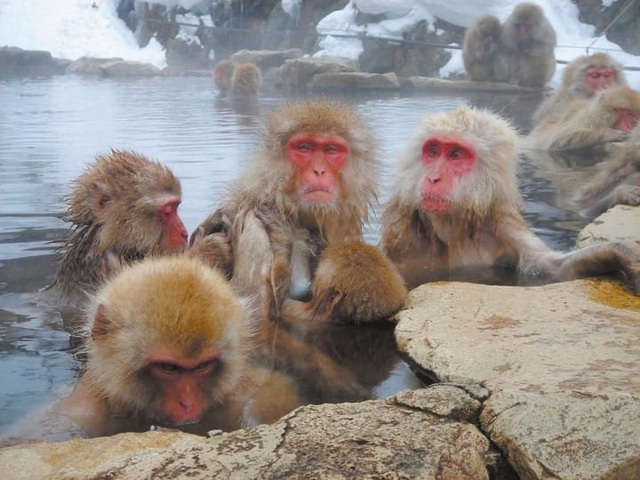 Những onsen đẹp như cổ tích dưới trời tuyết mùa đông - 5 Những onsen đẹp như cổ tích dưới trời tuyết mùa đông - 5
